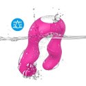 Seraph Różowy
