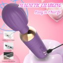 Fiołkowy Wibrator Różdżka Little Fairy Wand Purple