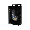 Dildo Przezroczyste Eternity