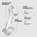 CRUSHIOUS HUDINI – Przezroczyste Żelowe Dildo Analne