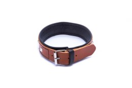 Elegancka Skórzana Obroża Koniakowa WHIPS z Smyczą