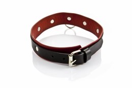 Elegancka obroża damska WHIPS