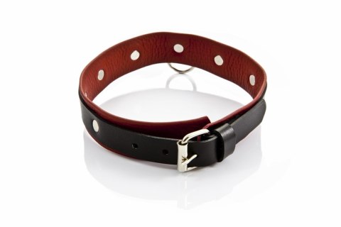 Elegancka obroża damska WHIPS
