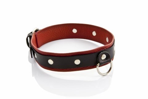Elegancka obroża damska WHIPS