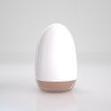 CRUSHIOUS Ezy Egg: Ekskluzywne Jajko do Masturbacji