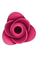 Satisfyer Pro 2 Modern Rose – Stymulator Łechtaczki z Innowacyjną Falą Ciśnieniową