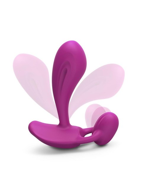 WITTY - Słodka Orchidea