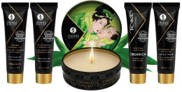 Zestaw Geisha's Secret Organica: Egzotyczna Zielona Herbata