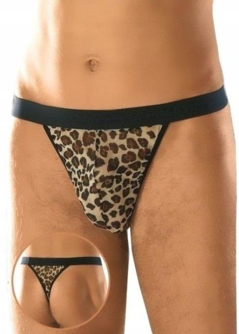 Stringi SoftLine 4457 w Panterkę