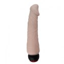 Driller 08 – Realistyczny Wibrator Cielisty z Intensywnymi Wibracjami, 22 cm