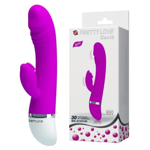 PRETTY LOVE DAVID, 30 funkcji