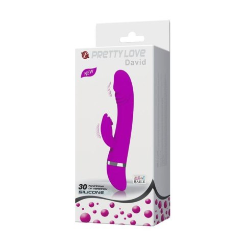 PRETTY LOVE DAVID, 30 funkcji