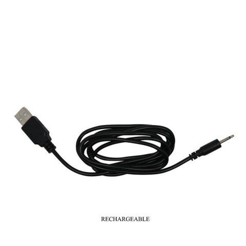 PRETTY LOVE – Masażer Prostaty z 4 Trybami Pieszczot i 7 Trybami Wibracji, Ładowany USB