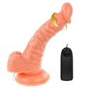 BAILE - SUPER ROTA DONG, Realistyczne dildo z wibracją i przyssawką