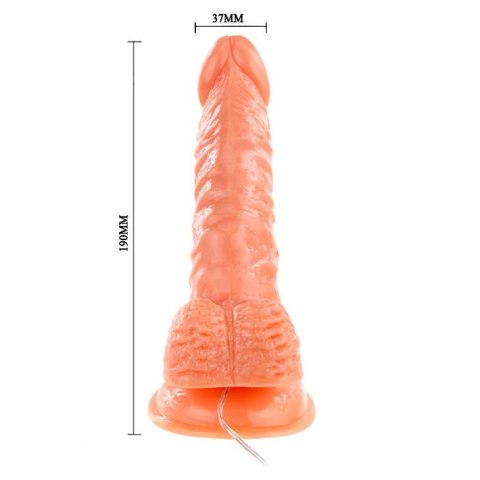 BAILE - SUPER ROTA DONG, Realistyczne dildo z wibracją i przyssawką