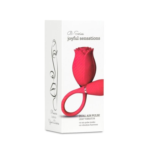 Miss Coyness USB – Stymulator z 10 Funkcjami