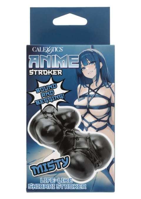 Anime Stroker Misty SCALA