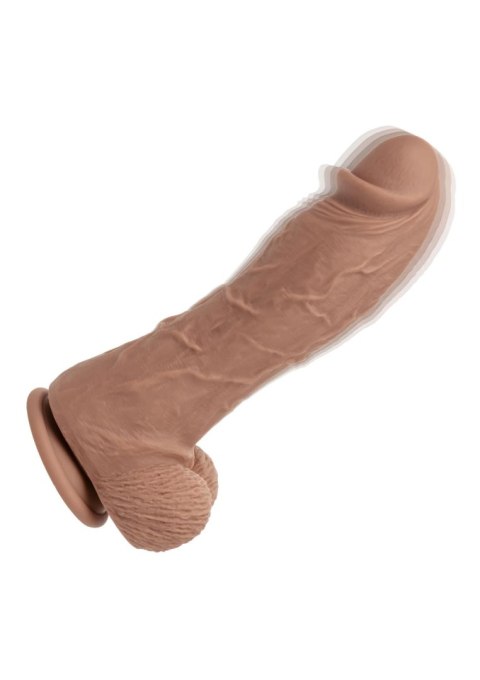 Big Dick Vibrating Energy Studs - Brown SCALA