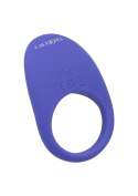 Calex Connect Couples Ring Purple SCALA