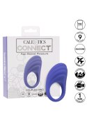 Calex Connect Couples Ring Purple SCALA
