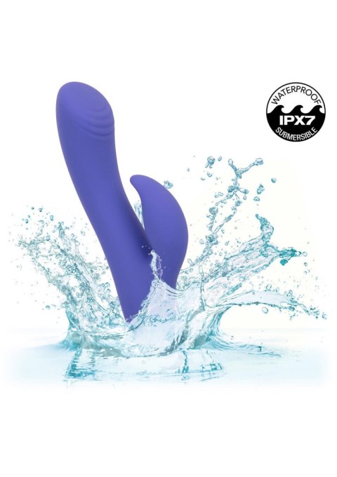 Calex Connect Dual Stimulator Purple SCALA