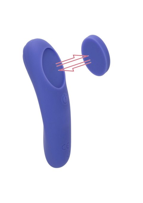 Calex Connect Panty Teaser Purple SCALA