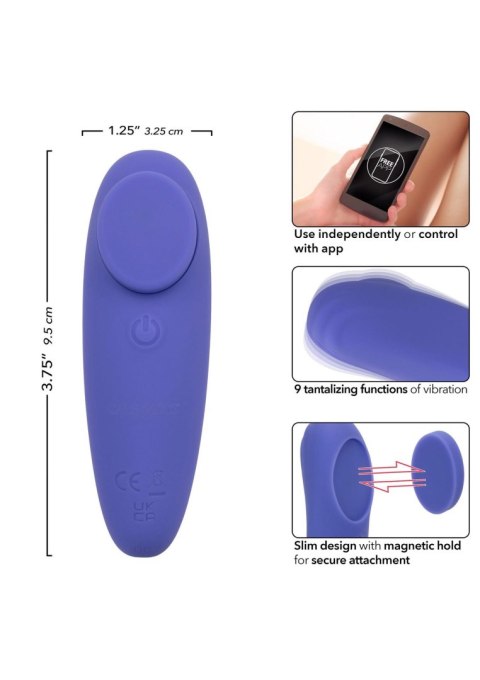 Calex Connect Panty Teaser Purple SCALA