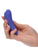 Calex Connect Panty Teaser Purple SCALA