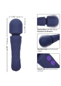 Charisma Allure Purple SCALA