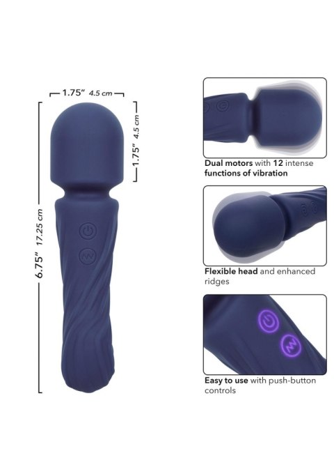 Charisma Allure Purple SCALA