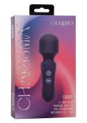 Charisma Charm Purple SCALA