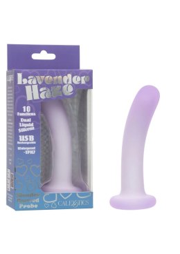 Slender Curved Probe SCALA