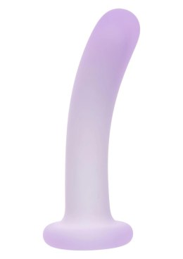 Slender Curved Probe SCALA
