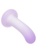 Slender Curved Probe SCALA