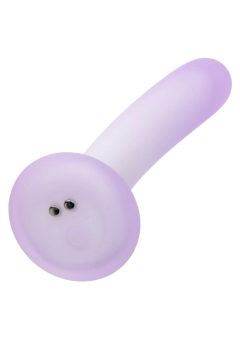 Slender Curved Probe SCALA