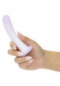Slender Curved Probe SCALA