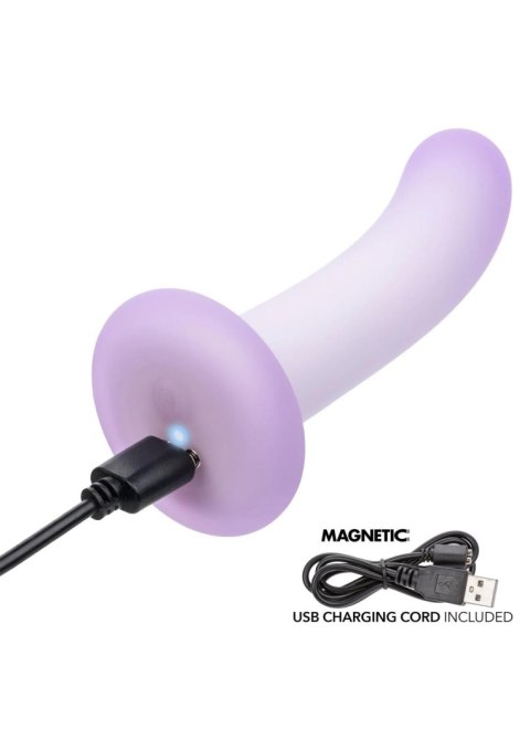Slender Curved Probe SCALA