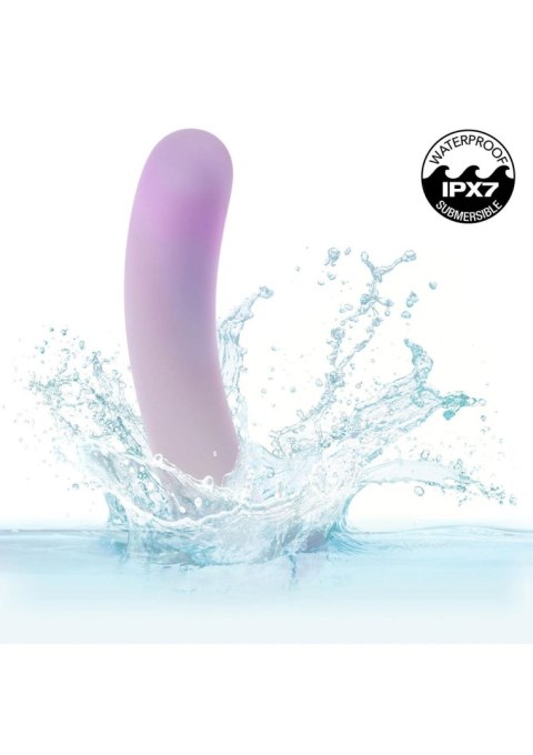 Slender Curved Probe SCALA