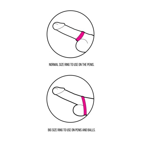 Endless Cockring - Large & Medium SHOTS