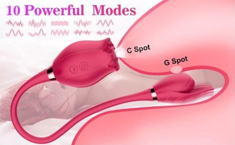 Miss Coyness USB – Stymulator z 10 Funkcjami