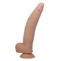 Pretty Love Xander - Realistic Soft Touch Dildo 20 cm Baile - Boys of Toys Sp. z. o.o. (dystrybutor)
