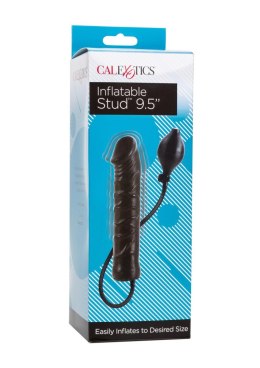 Pompowany Plug Analny Stud - Czarny