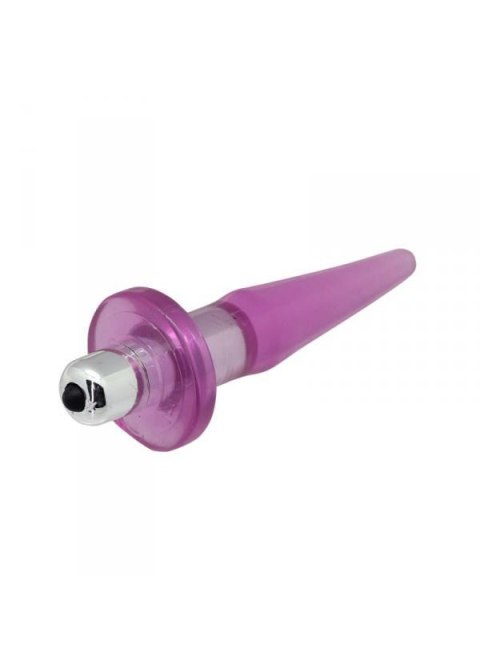 Wibrujący Plug Analny z Funkcją ON/OFF