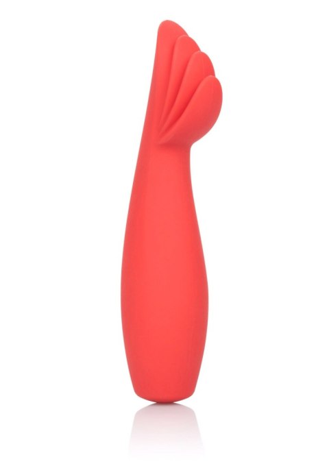 Płomienna Czerwień Red Hot Blaze