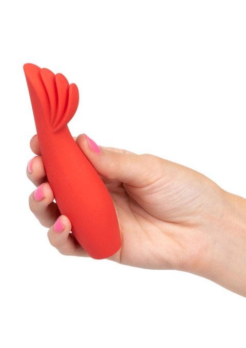 Płomienna Czerwień Red Hot Blaze