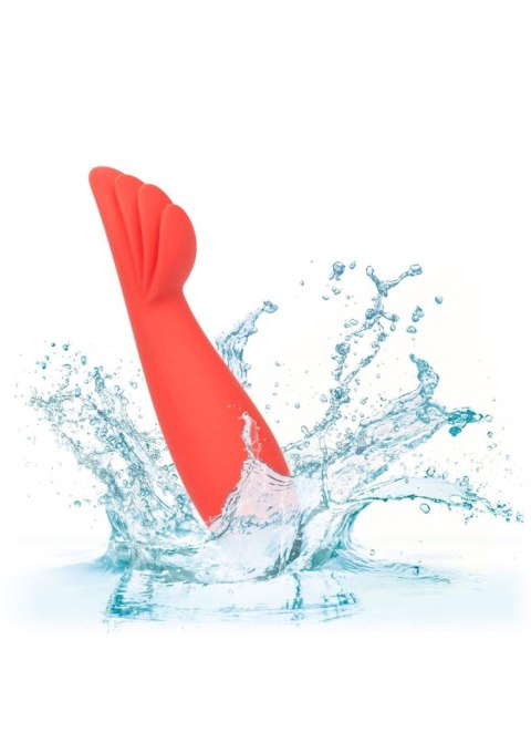 Płomienna Czerwień Red Hot Blaze