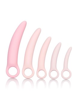 Zestaw Silikonowych Dilatorów Inspire – 5 Elementów w Odcieniu Różu