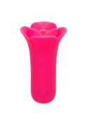 Lily Licker Mini Flower Flicker