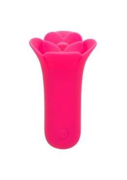 Lily Licker Mini Flower Flicker
