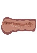 Realistyczny masturbator podróżny Super Wet Travel Beaver w naturalnym odcieniu skóry